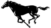 Flying Horse Graphics